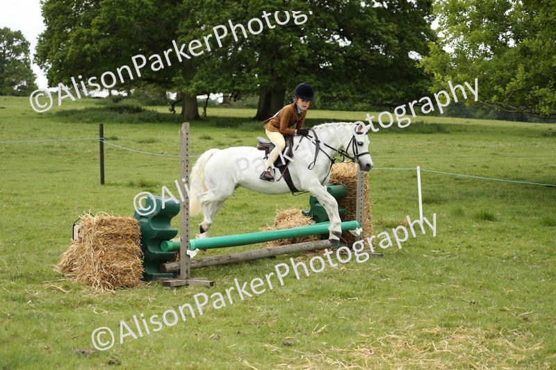 20250517-1100 - Class 21 - Novice Working Hunter