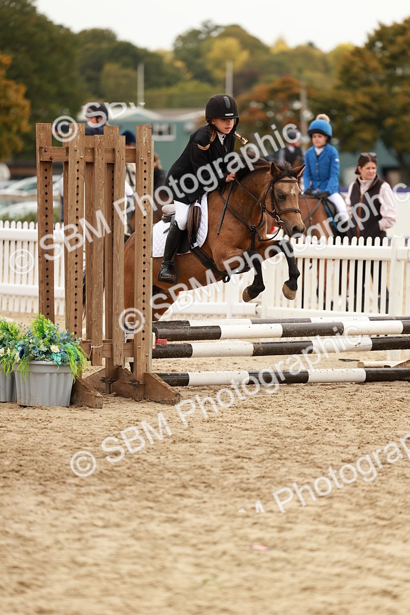 SBM_57826 - J11 - Junior Pony 50cm Championship