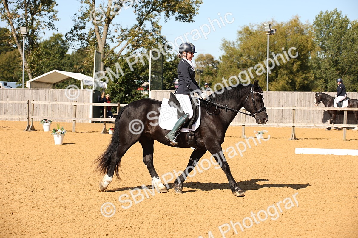 SBM_24213 - D5 - Small Tour Championship - Intro C