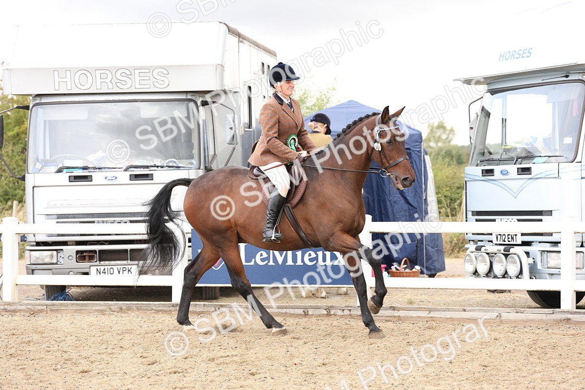 SBM_02959 - Class 53 - Ridden Competition Horse/Pony