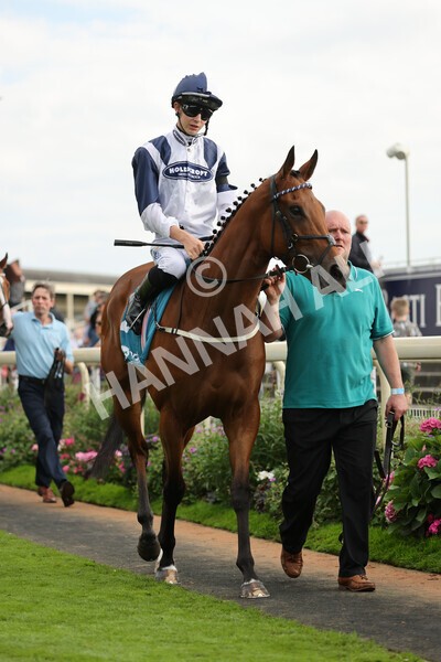 yr04092022r7-14 - Race 7 5.15pm Firmament Stakes