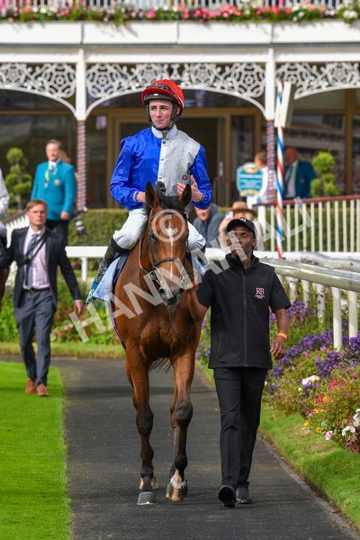 230923-Race 1-Invincible Molly-5895 - Race 1 2.00pm Jigsaw Sports Branding EBF Fillies' Novice Stakes