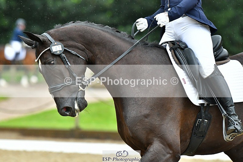 230722-163513-03990 - Cls 5, Elementary Silver 15.10 to End