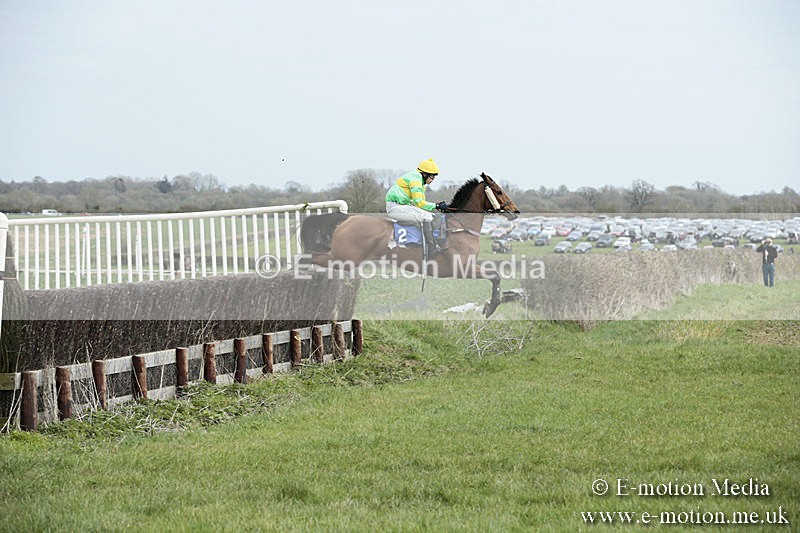 PtP 230319 45 - VWH Hunt Siddington Point-to-Point Racing 23/03/19