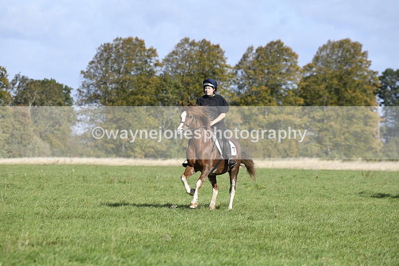 _DSC5195 - Time 10:27 to 10:48