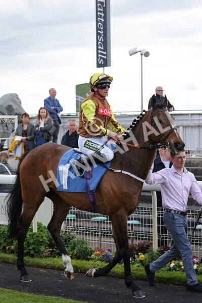 yr11052022r6-3 - Race 6 4.45pm Conundrum HR Consulting Stakes