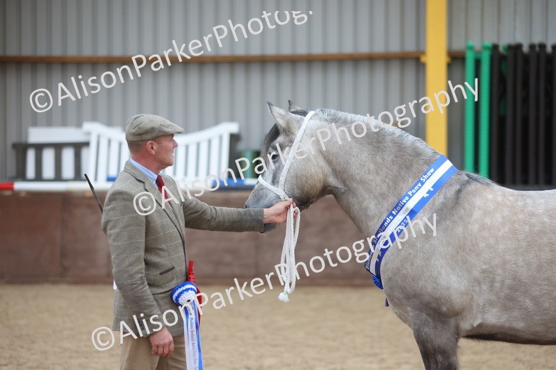 20251109-1173 - Championship