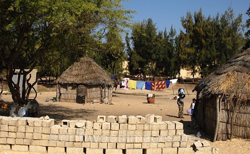 Senegal Fulani Senegal village general view 4 - Senegal Fulani Village