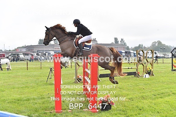 BPP_6447 - CLASS 1 Senior Newcomers/ 1.10m Open