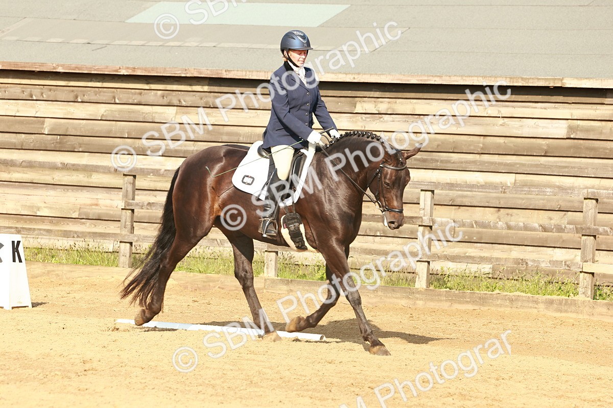 SBM_000352 - Class 5 - Novice 2