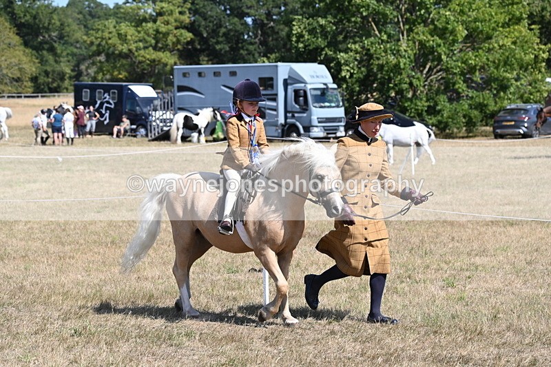 WJ6_9151 - Championship Classes 33-38