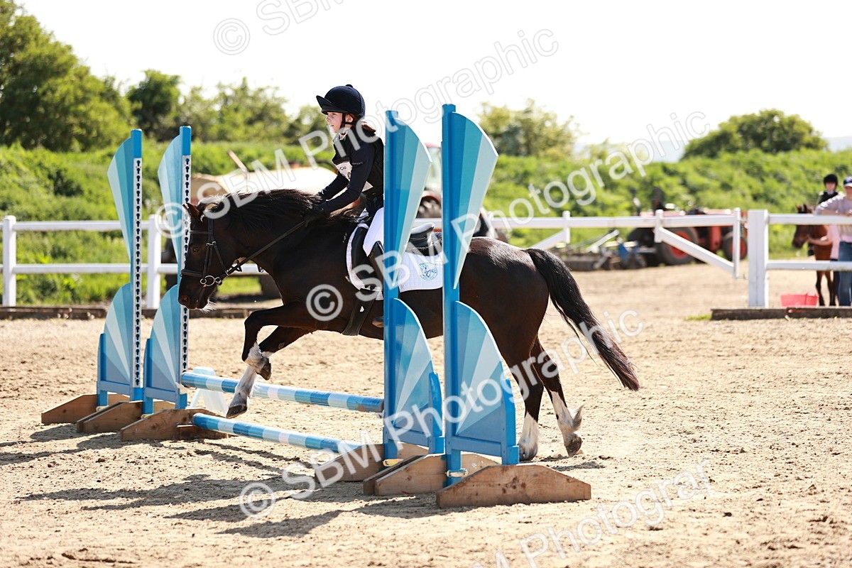 SBM_006794 - Class 2 - 50cm