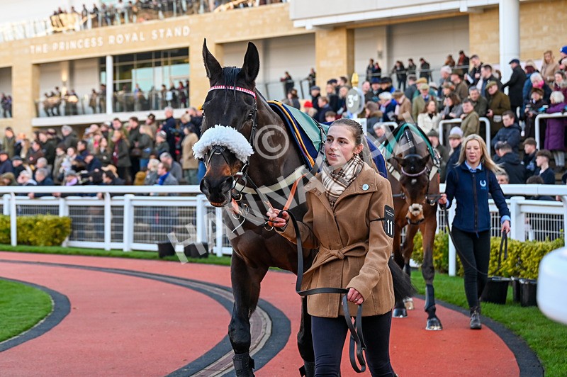 141224-Race 4-Grandeur DAme-0598 - Race 4