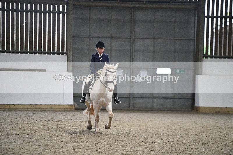 WJ7_3646 - Class 16 Ridden Coloured/ Odd Coloured