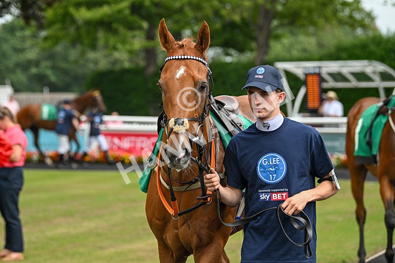 250725-Graham Lee IJF Stable Staff Stakes-B-3276 - The Graham Lee IJF Fund Stable Staff Stakes