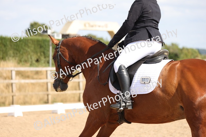 20250730-1300 - Class 8 - Elementary 2