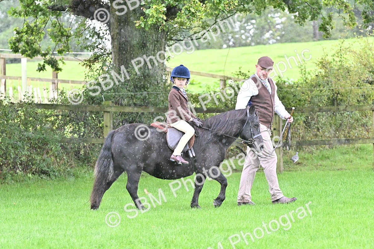 SBM_40107 - S20 - Lead Rein Mountain & Moorland Pony