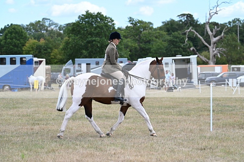 WJ7_4896 - Class 12 Ridden Cob