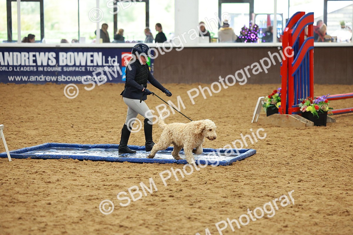 SBM_002187 - Class 3 - Horse & Hound (60cm)