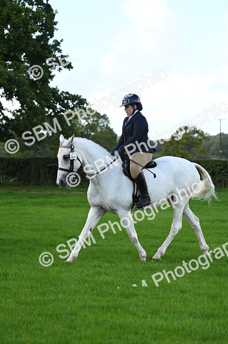 SBM_01681 - S2 - TSR Ridden Horse Showing