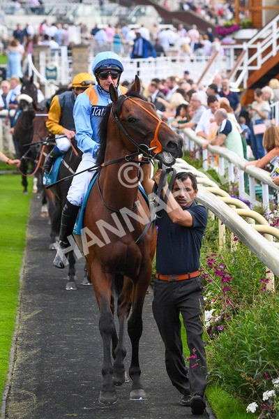 100923-Race 1-The Coffee Pod-0346 - Race 1 1.40pm Ire Incentive, It Pays To Buy Irish EBF Novice Stakes