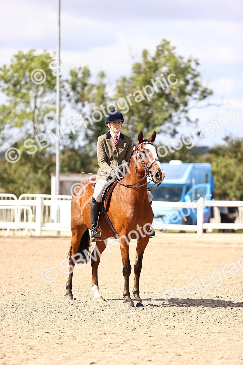 SBM_12987 - Class 410 - Grassroots Ridden - Horse