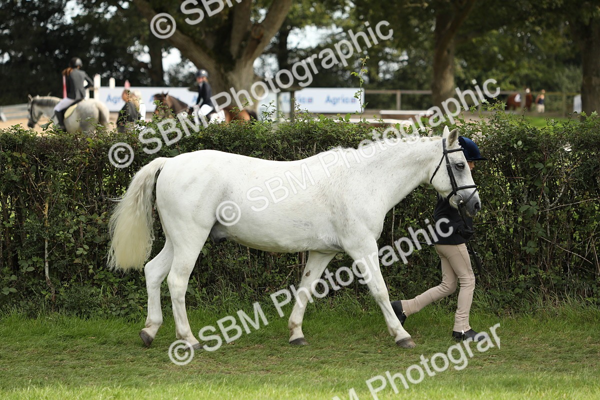SBM_67679 - S39 - Junior Handler 8  Years & Under
