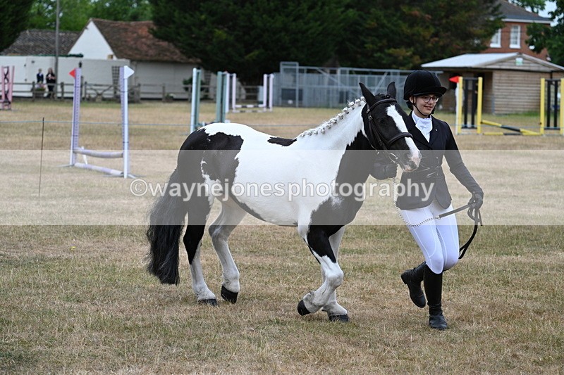 WJ7_8382 - Class 4 Prettiest Mare up to 14.2hh