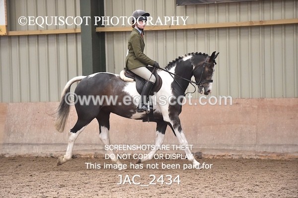 JAC_2434 - CLASS 3 Intermediate Working Hunter