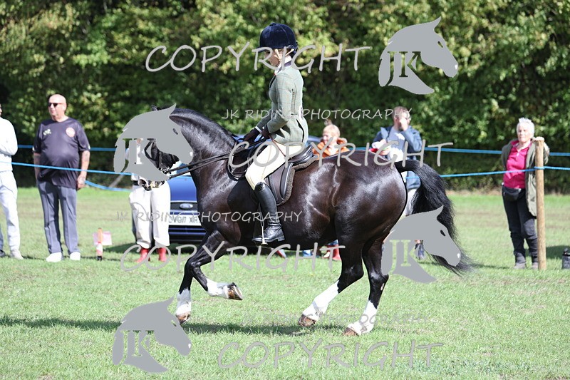 APP_3548 - Class 12 M&M ridden