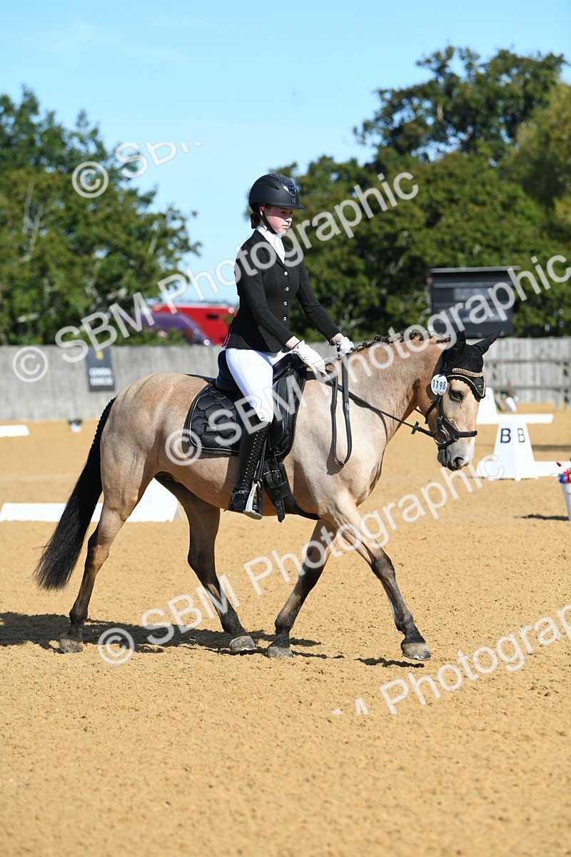 SBM_17870 - D4 - Small Tour Championship - Intro B