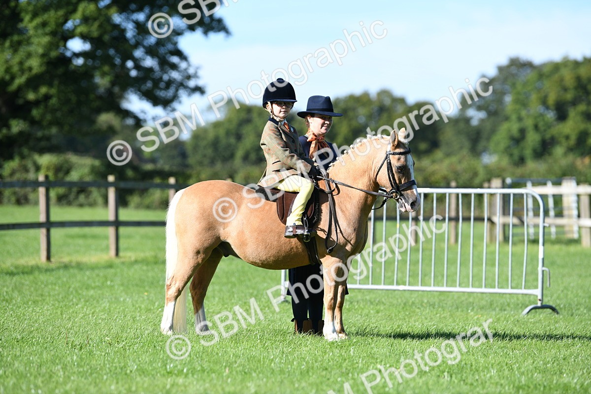 SBM_36821 - S18 - Novice & Newcomers Lead Rein Pony