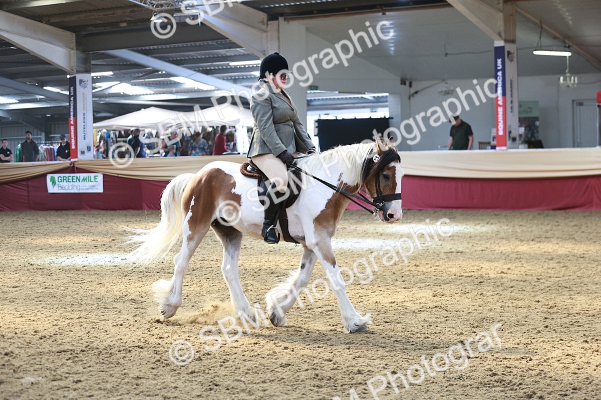 SBM_07102 - Class 10R - Regional Ridden Diamond
