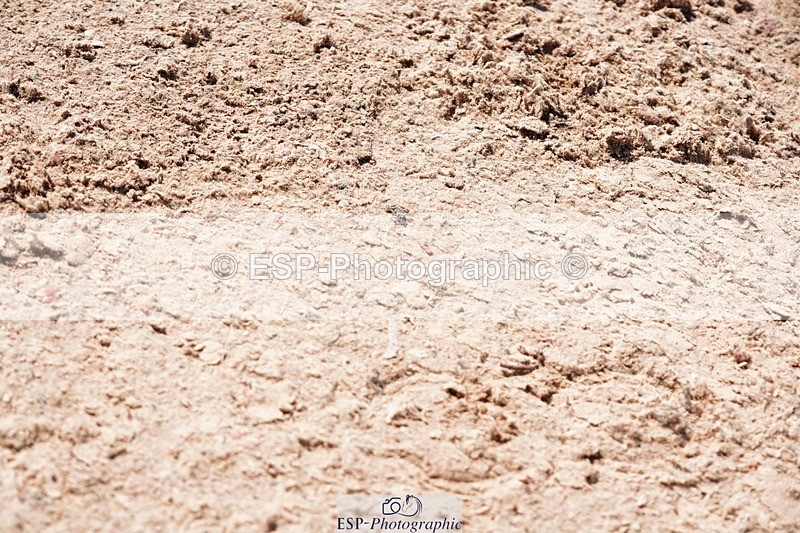 250510-110740-11018 - Cls 15 Prestige Big Star Qualifier