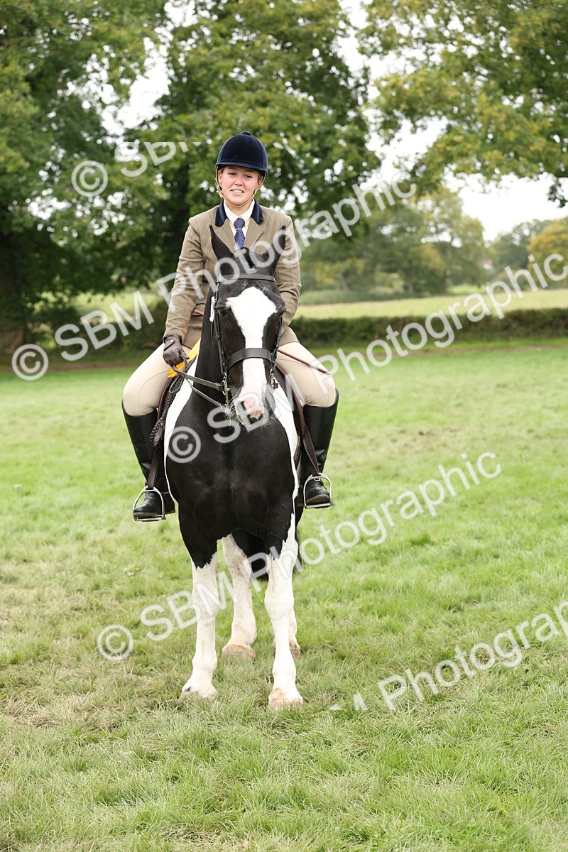 SBM_67315 - S67 - Piebald & Skewbald Horse Ridden
