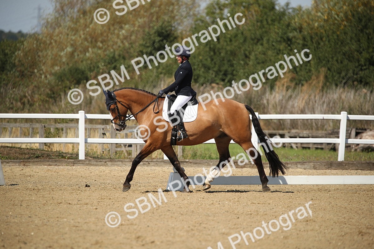 SBM_005016 - Class 11 - Novice 5 - 11.41-12.58