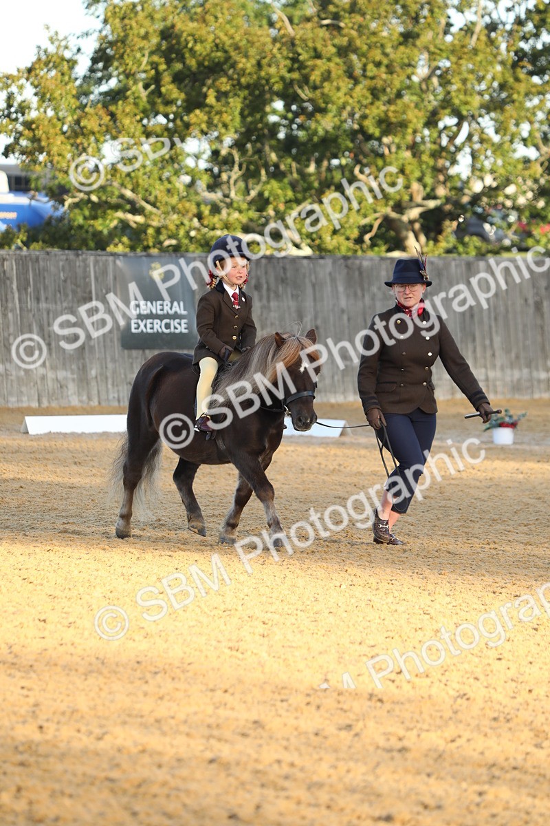 SBM_33545 - D26 - Starers - Lead Rein