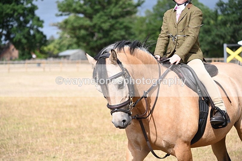 WJ6_7578 - Class 9 Tack and Turnout