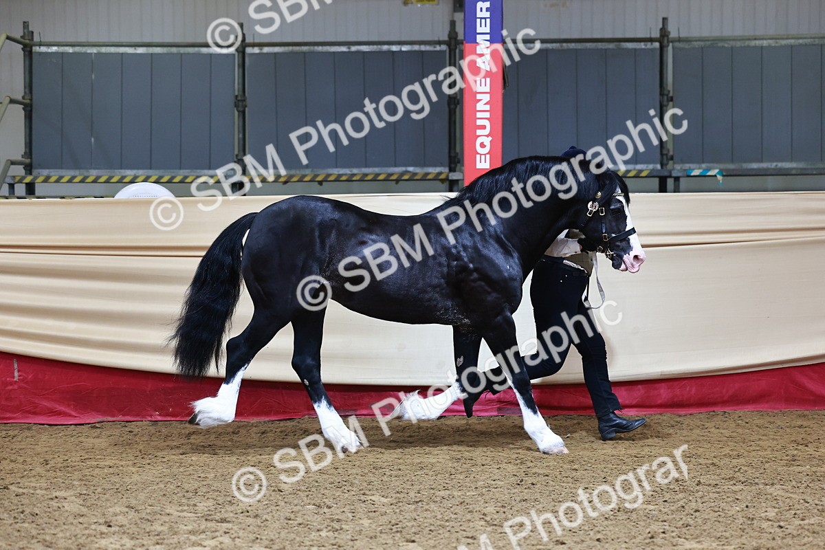 SBM_22116 - Class 902 - Supreme Final - IH Diamond