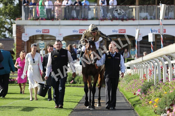yr20082022r7-37 - Race 7 5.20pm Sky Bet Finale Stakes