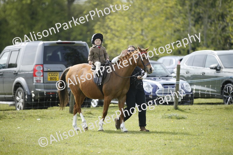 20260426-1871 - Class 7 - Pony Judge Would Most Like To Take Home