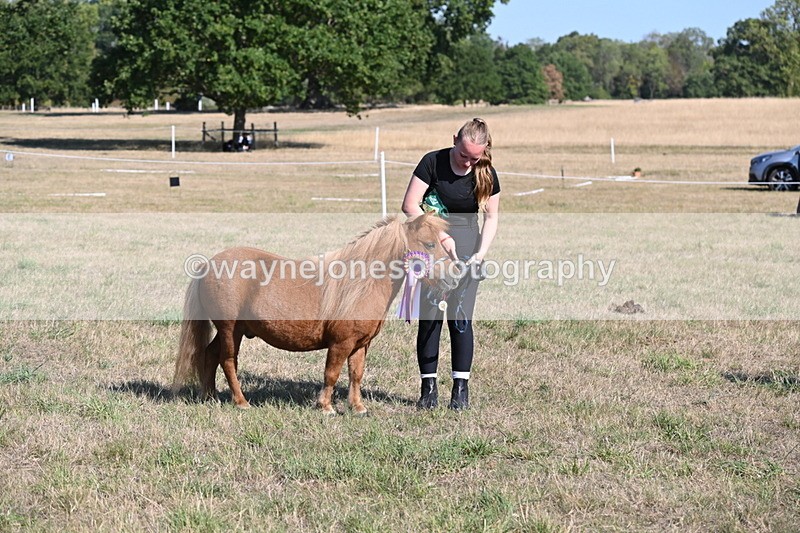 WJ6_7352 - Class 33 Rescue Pony