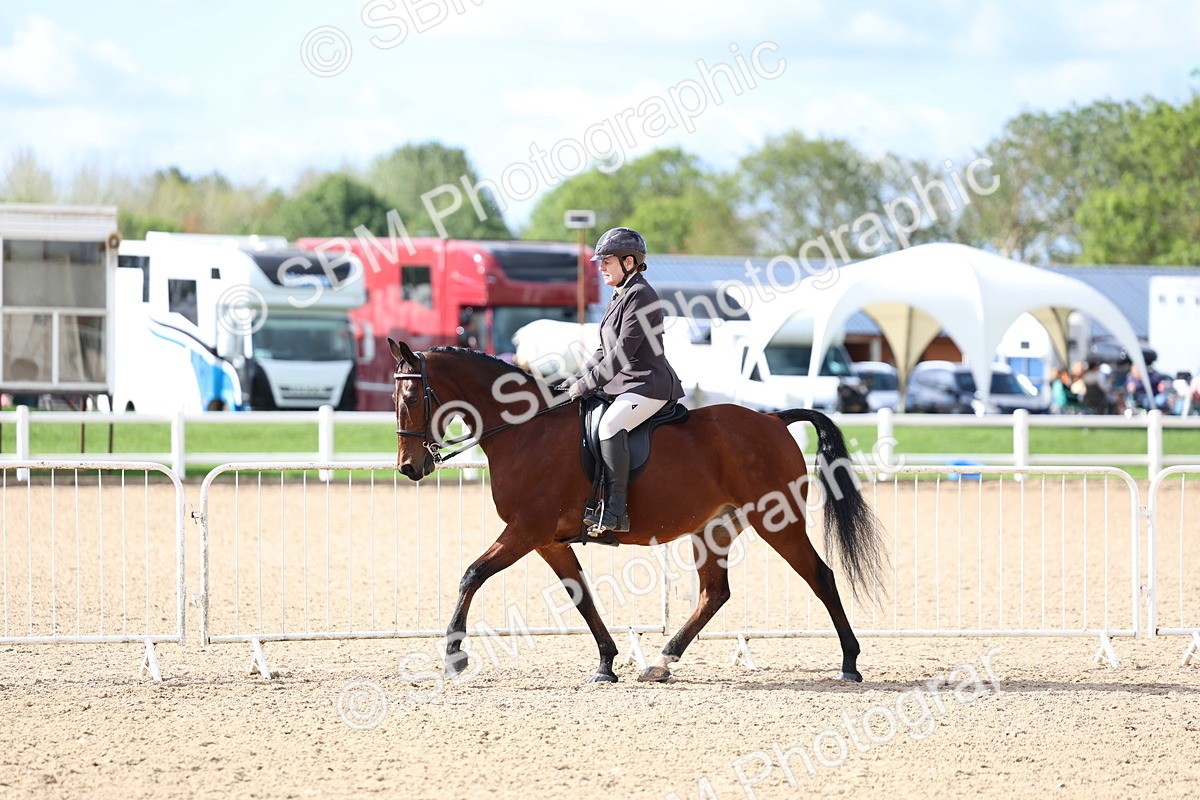 SBM_10771 - Class 305 - Ridden Foreign Breeds - Pure Bred