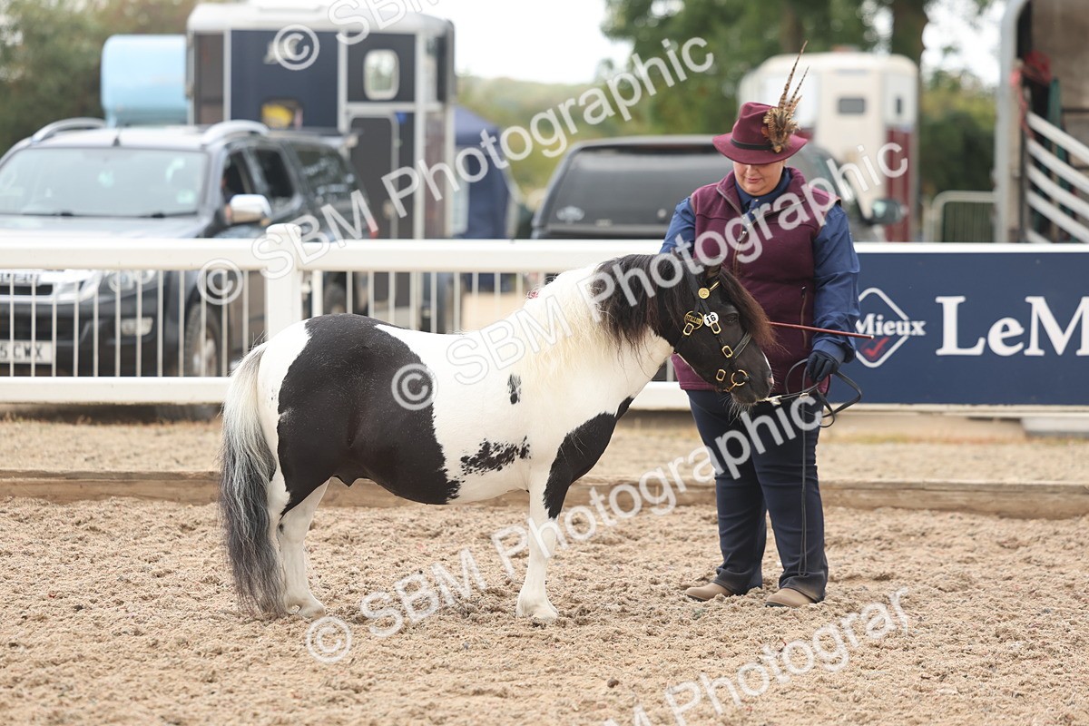 SBM_03262 - Class 16 - IH M&M Wildcard