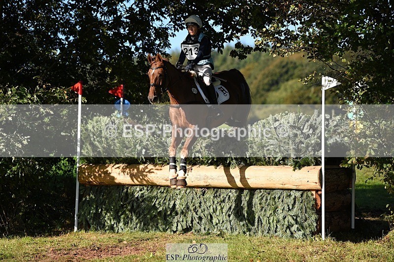 231022-103502-25485 - 213-MGH.HILDARE.HARLEQUIN-Danielle.Mccormack-XC