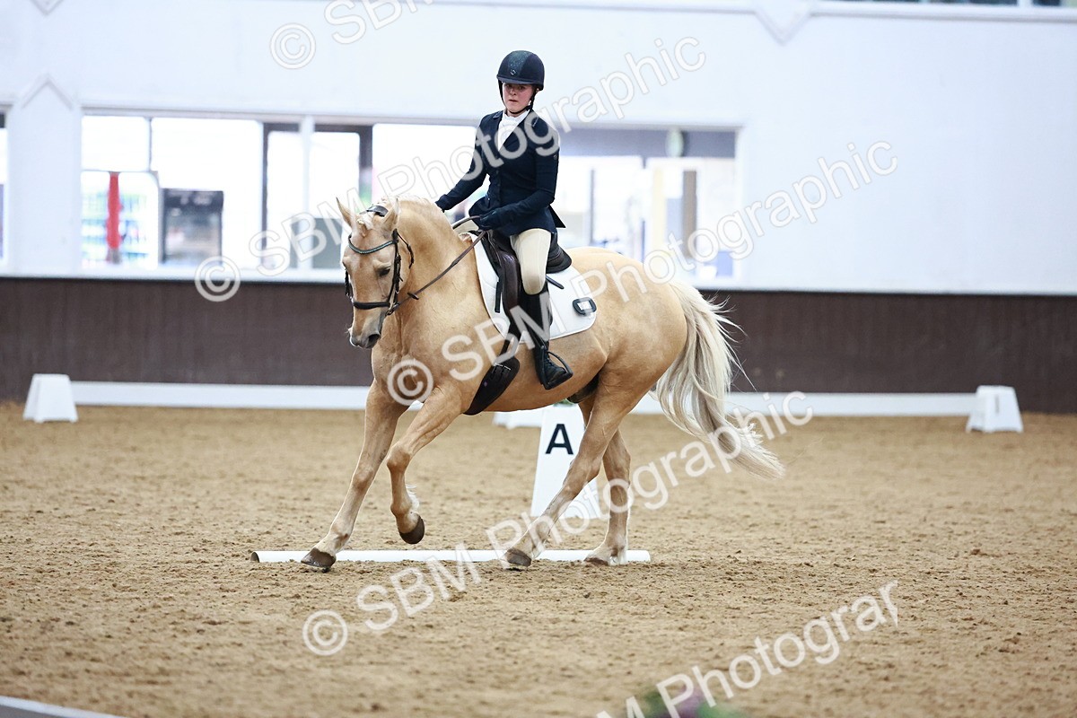 0B8A8312 - Class 5 - Novice 2