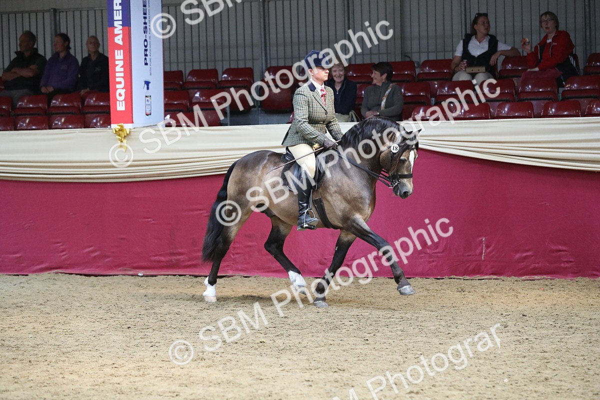 SBM_16261 - Class 502 M&M Ridden Supreme Final