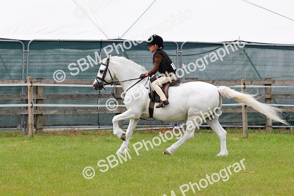 SBM_09529 - Class 44-45 - LIHS BSPS Open Nursery and Cradle Stakes