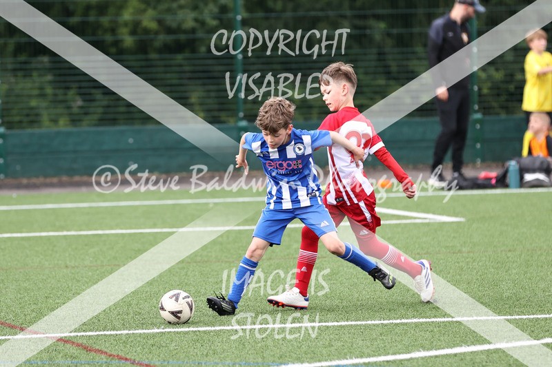 1DX30910 - Sun 7th U10 Boys