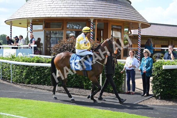 yr10062022r2-1 - Race 2 2.30pm SKF Rous Selling Stakes